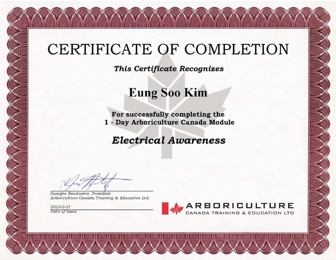 Electrical Awareness Certificate